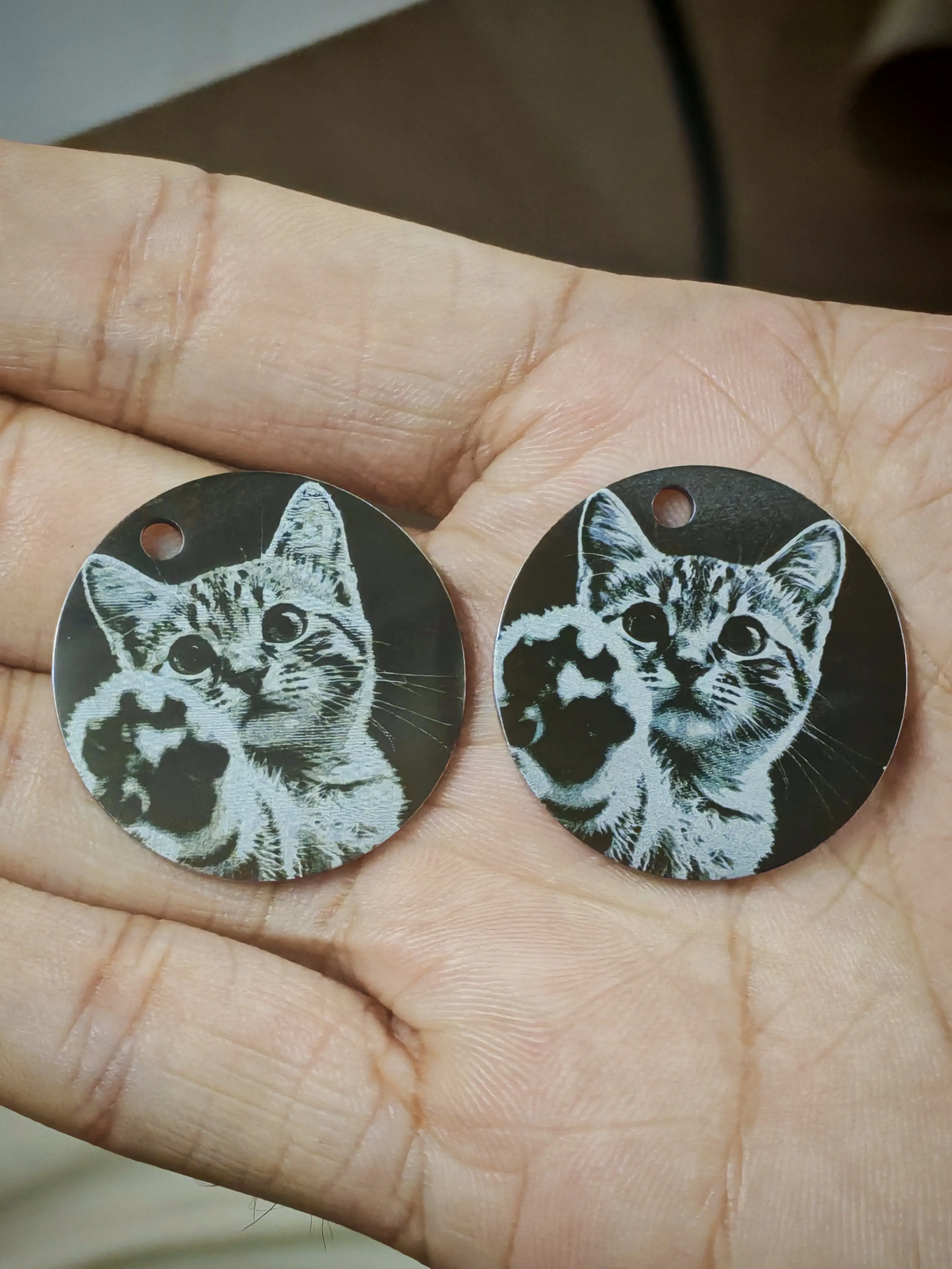 stainless steel kitten