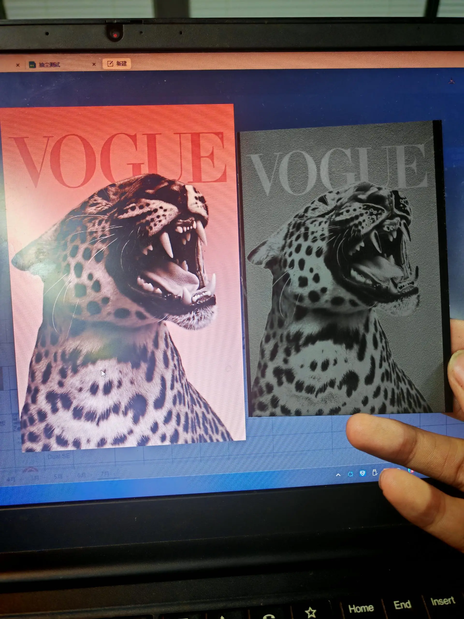 Acrylic Leopard